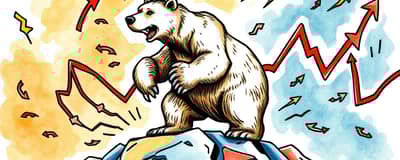 The Bear Market Playbook: Thriving in Downturns